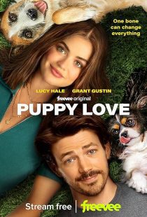 MV5BMTU0MTBlMDYtNDBlYS00ZjlmLThlZTctZTVmNTM5ZTA4MWQyXkEyXkFqcGc@. V1 SX500 دانلود فیلم Puppy Love 2023