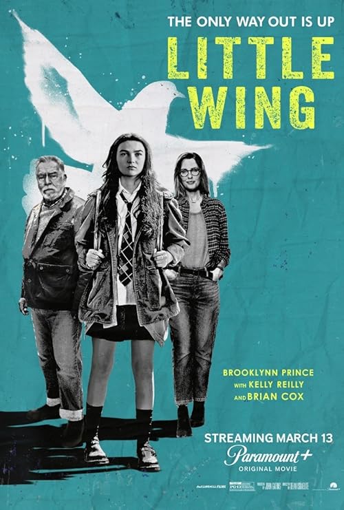 دانلود فیلم بال کوچک | Little Wing 2024