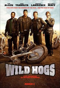 MV5BYTRmMWQ2NWEtMjM3Ni00ZGZhLWE1NGYtOWVjODYzNDA1M2ZmXkEyXkFqcGc@. V1 SX500 دانلود فیلم Wild Hogs 2007