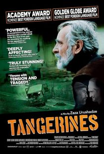 MV5BMTgwNzA3MDQzOV5BMl5BanBnXkFtZTgwNTE5MDE5NDE@. V1 SX500 دانلود فیلم Tangerines 2013