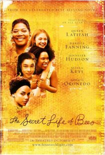 MV5BOTgzNDIzMTM2OV5BMl5BanBnXkFtZTcwMTQzNTE4MQ@@. V1 SX500 دانلود فیلم The Secret Life of Bees 2008