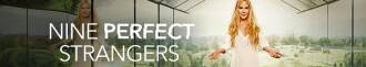 دانلود سریال Nine Perfect Strangers