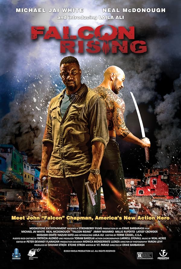 Falcon Rising - قدرت شاهین
