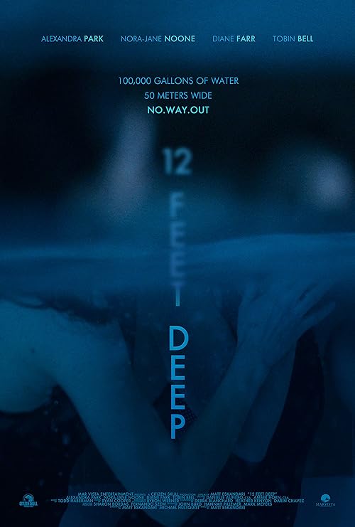 دانلود فیلم 12 Feet Deep 2017