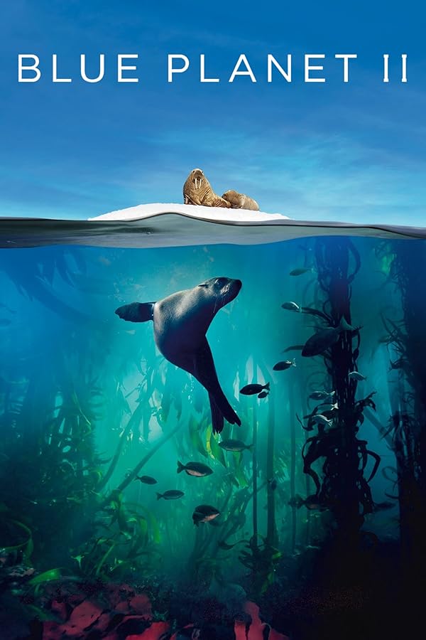 Blue Planet II - سیاره آبی 2
