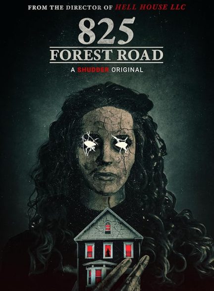 دانلود فیلم جاده جنگلی 825 | 825 Forest Road 2025