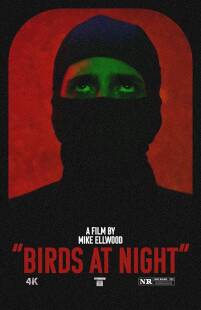 MV5BZGUxMWY2OWUtNjBjMy00NDNiLWI4ZmQtODI5YmI5YmU5ZWM5XkEyXkFqcGc@. V1 SX500 دانلود فیلم Birds at Night 2023