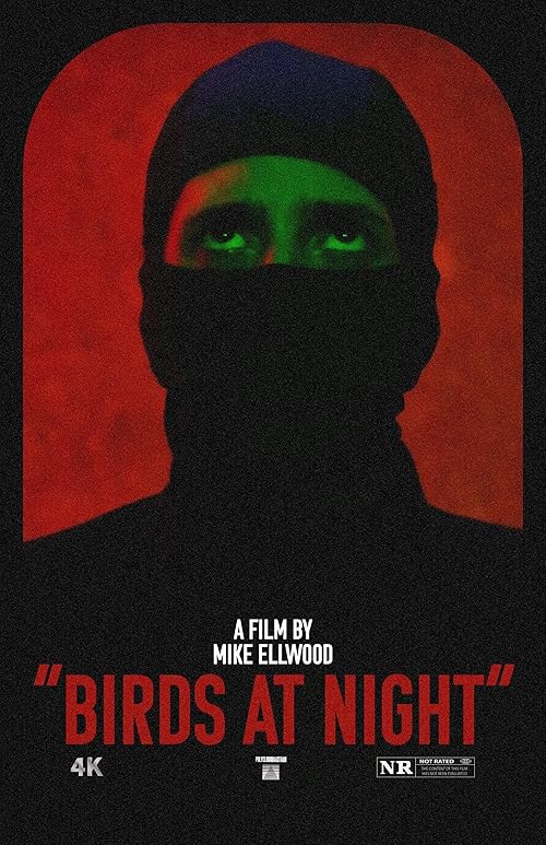 دانلود فیلم Birds at Night 2023
