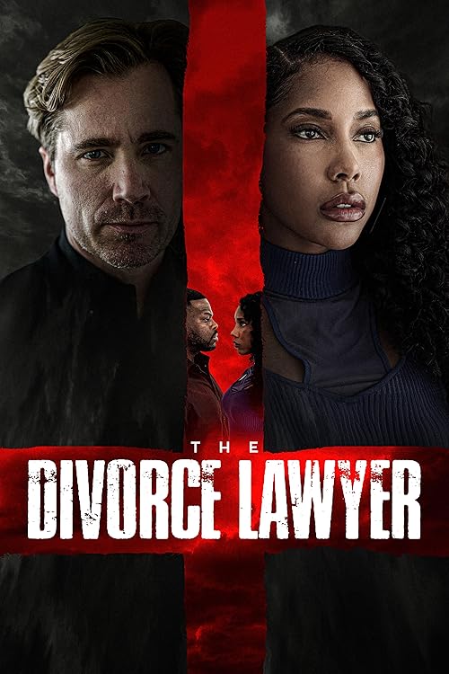 دانلود فیلم The Divorce Lawyer 2025