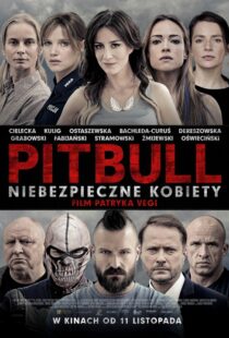 Pitbull: Tough Women - پیتبول: زنان سرسخت