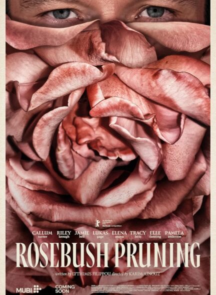 دانلود فیلم هرس بوته رز|2026 Rosebush Pruning