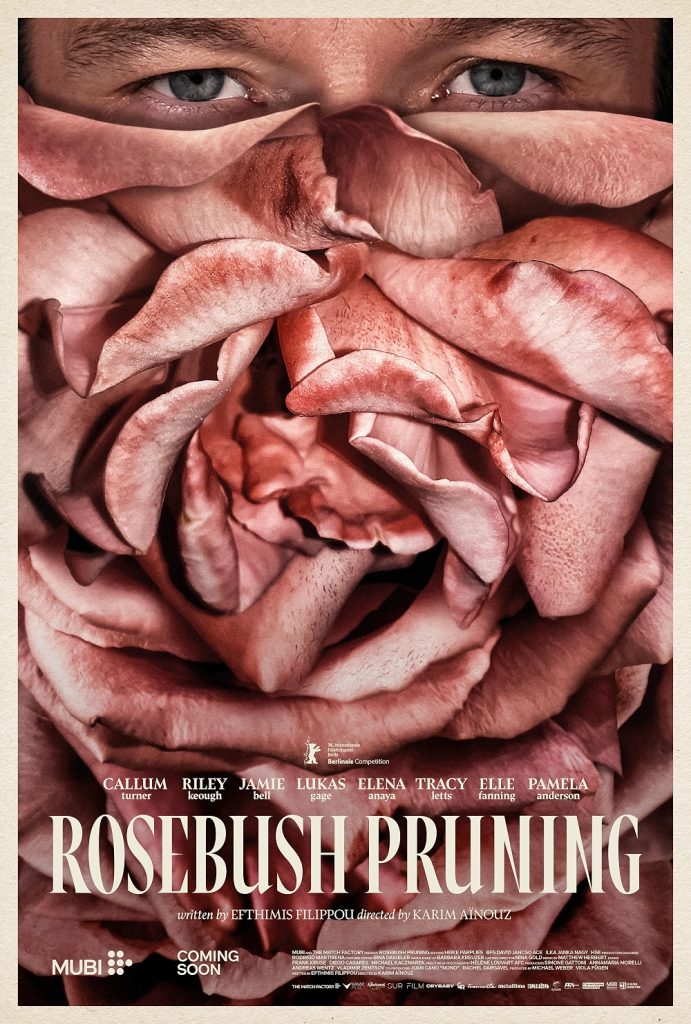 Rosebush Pruning - هرس بوته رز