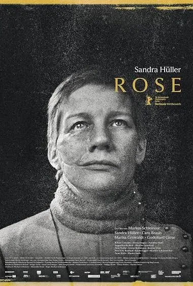Rose - رز 2026